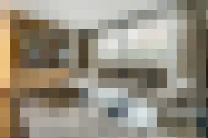 Janssoniushof 33 Waalwijk thumbnail 9