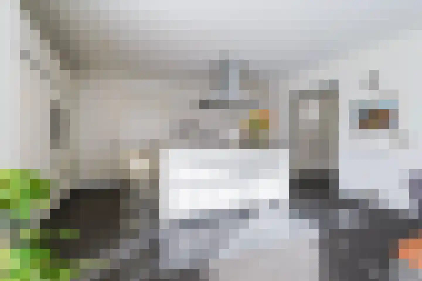 Janssoniushof 34 Waalwijk thumbnail 15