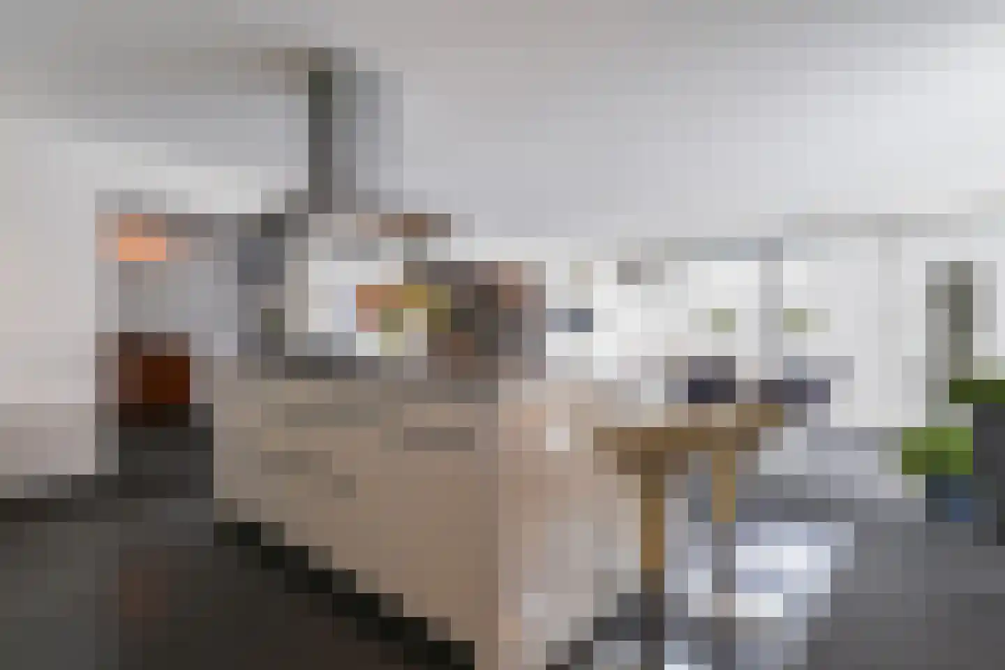 Janssoniushof 34 Waalwijk thumbnail 16