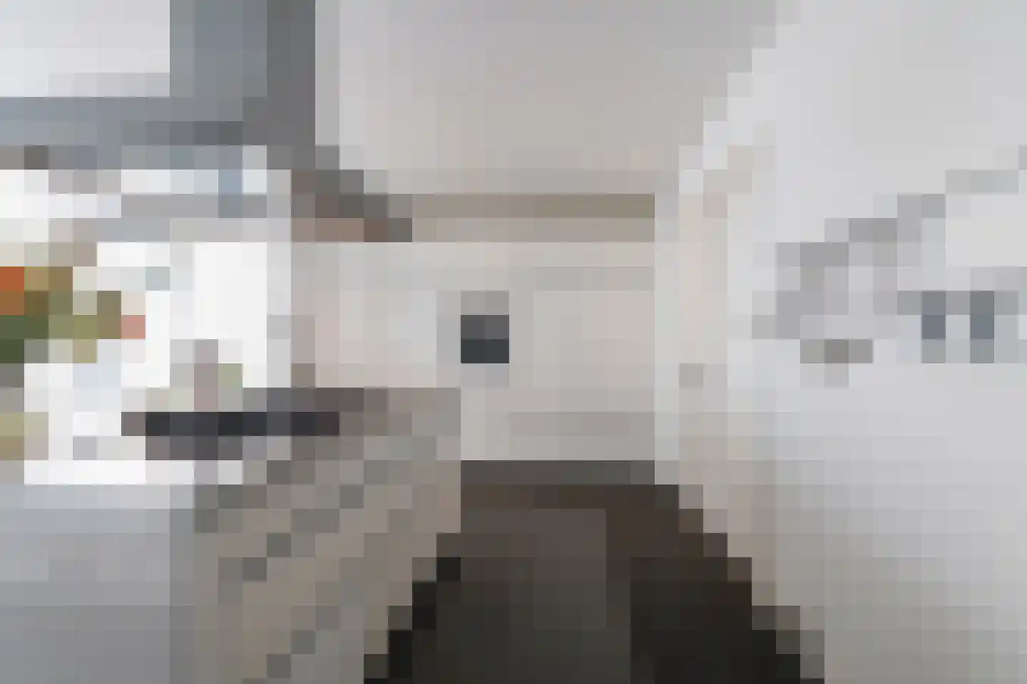 Janssoniushof 34 Waalwijk thumbnail 17
