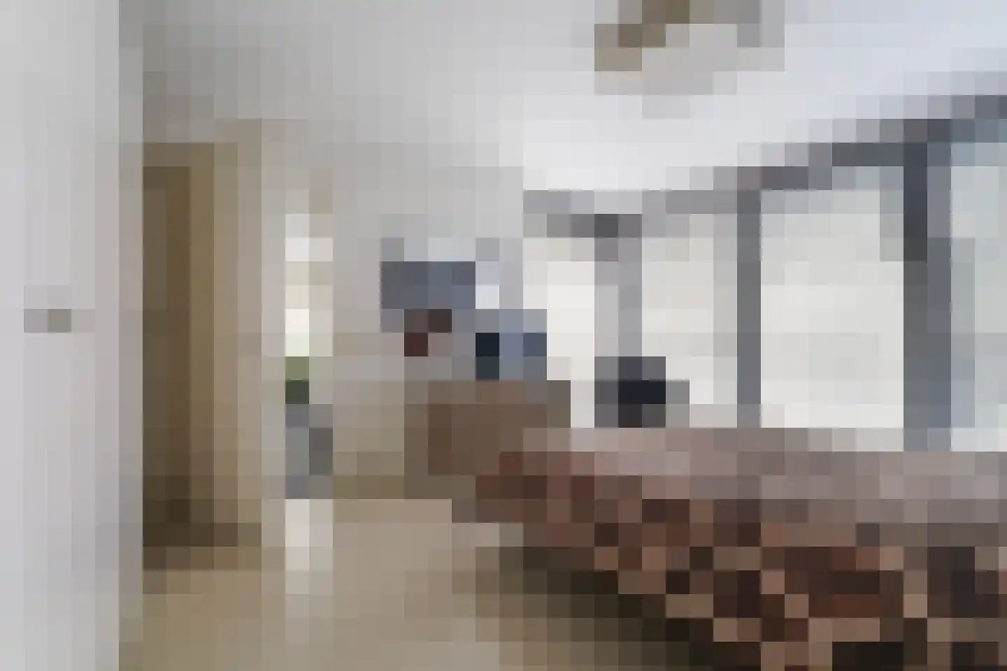 Janssoniushof 34 Waalwijk thumbnail 19