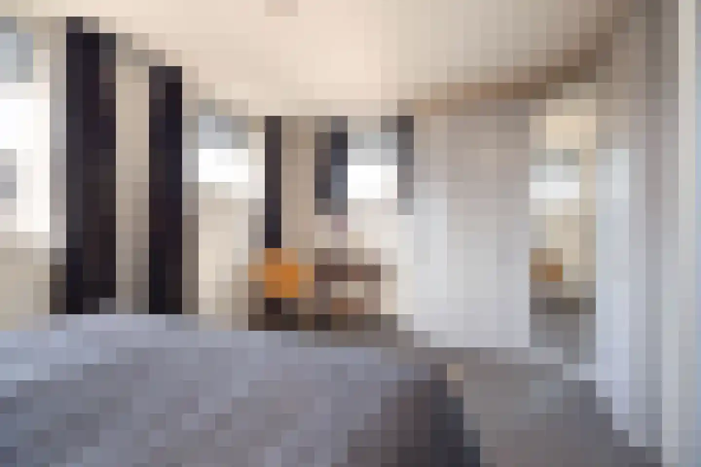 Janssoniushof 4 Waalwijk thumbnail 31