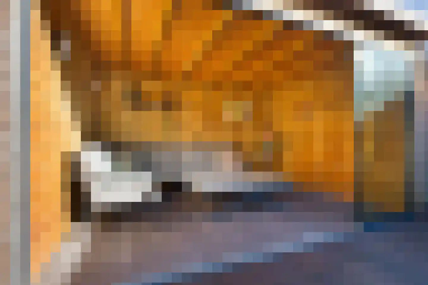 Janssoniushof 4 Waalwijk thumbnail 4
