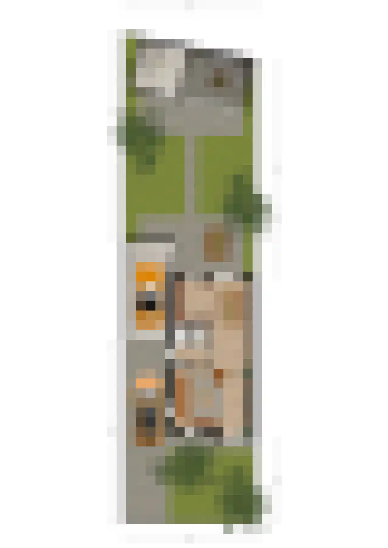 Janssoniushof 4 Waalwijk thumbnail 42