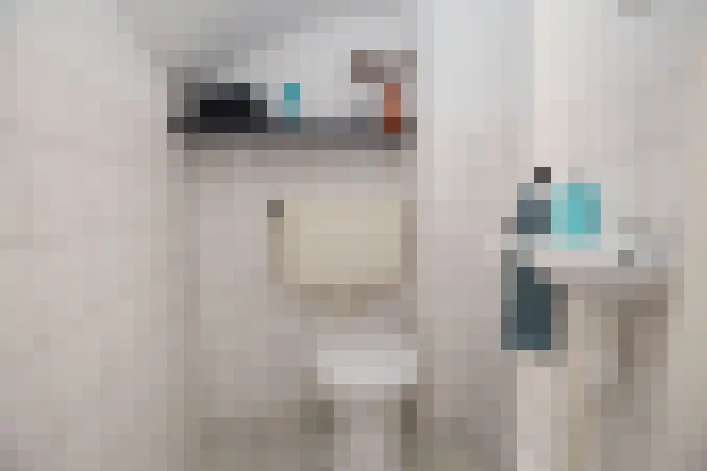 Janssoniushof 4 Waalwijk thumbnail 7