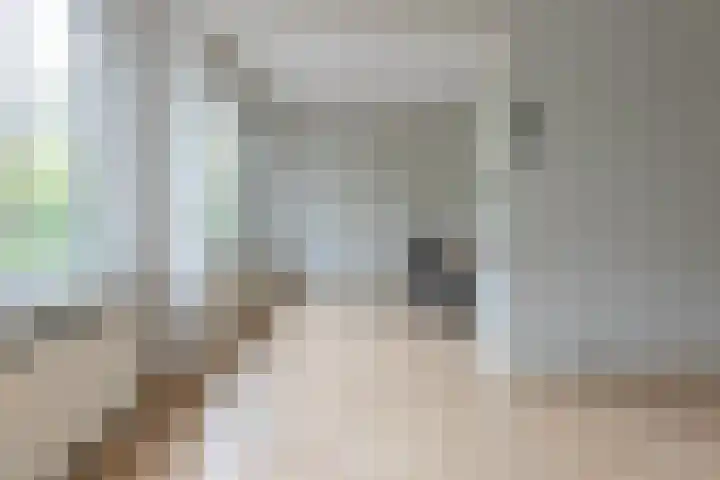 Janssoniusstraat 7 Den Haag thumbnail 11