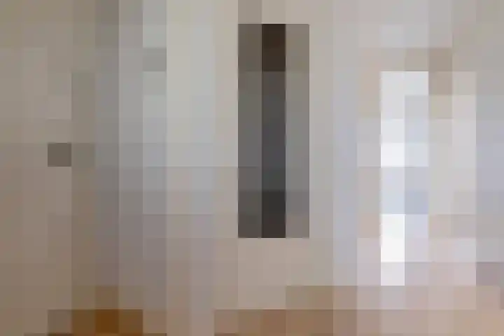 Janssoniusstraat 7 Den Haag thumbnail 16