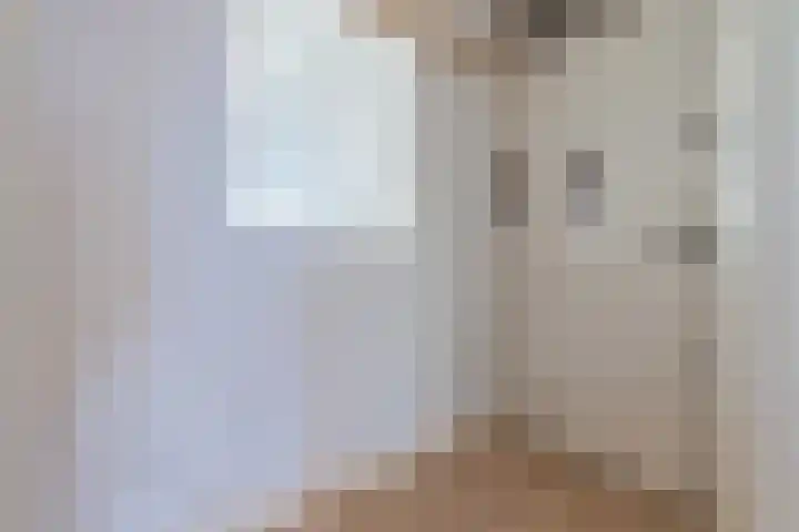Janssoniusstraat 7 Den Haag thumbnail 4