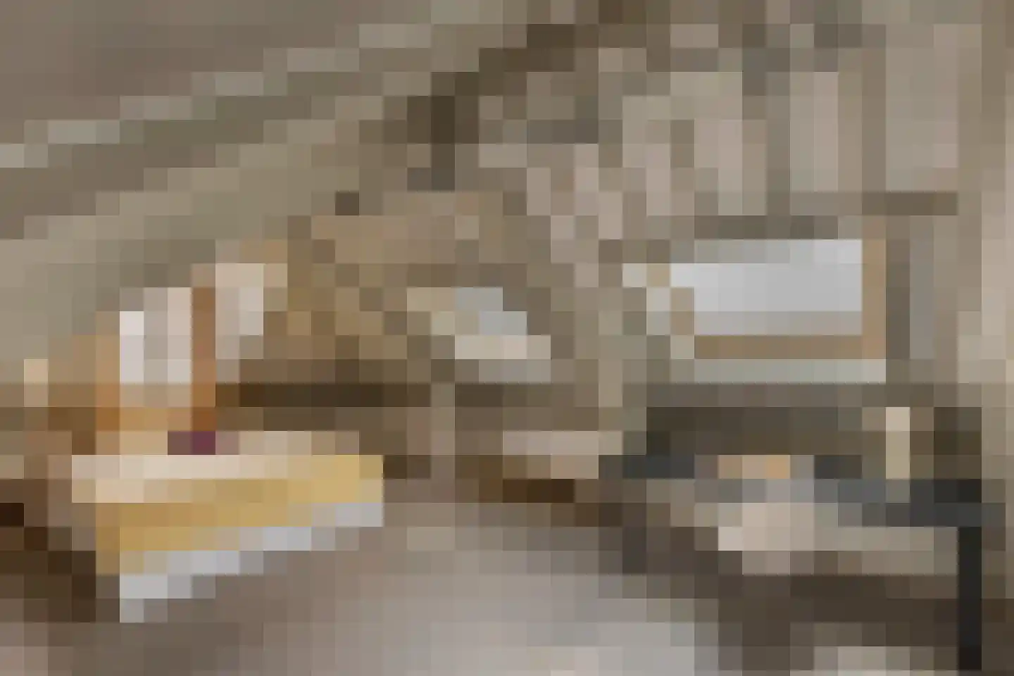 Jansstraat 1 Haarlem thumbnail 32