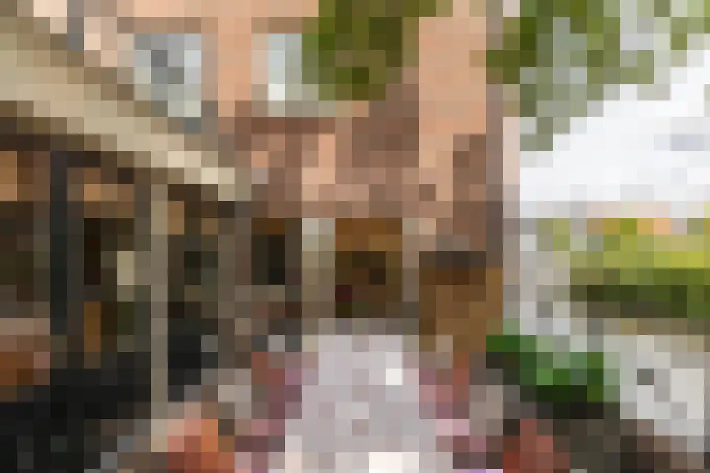 Jansstraat 1 Haarlem thumbnail 4
