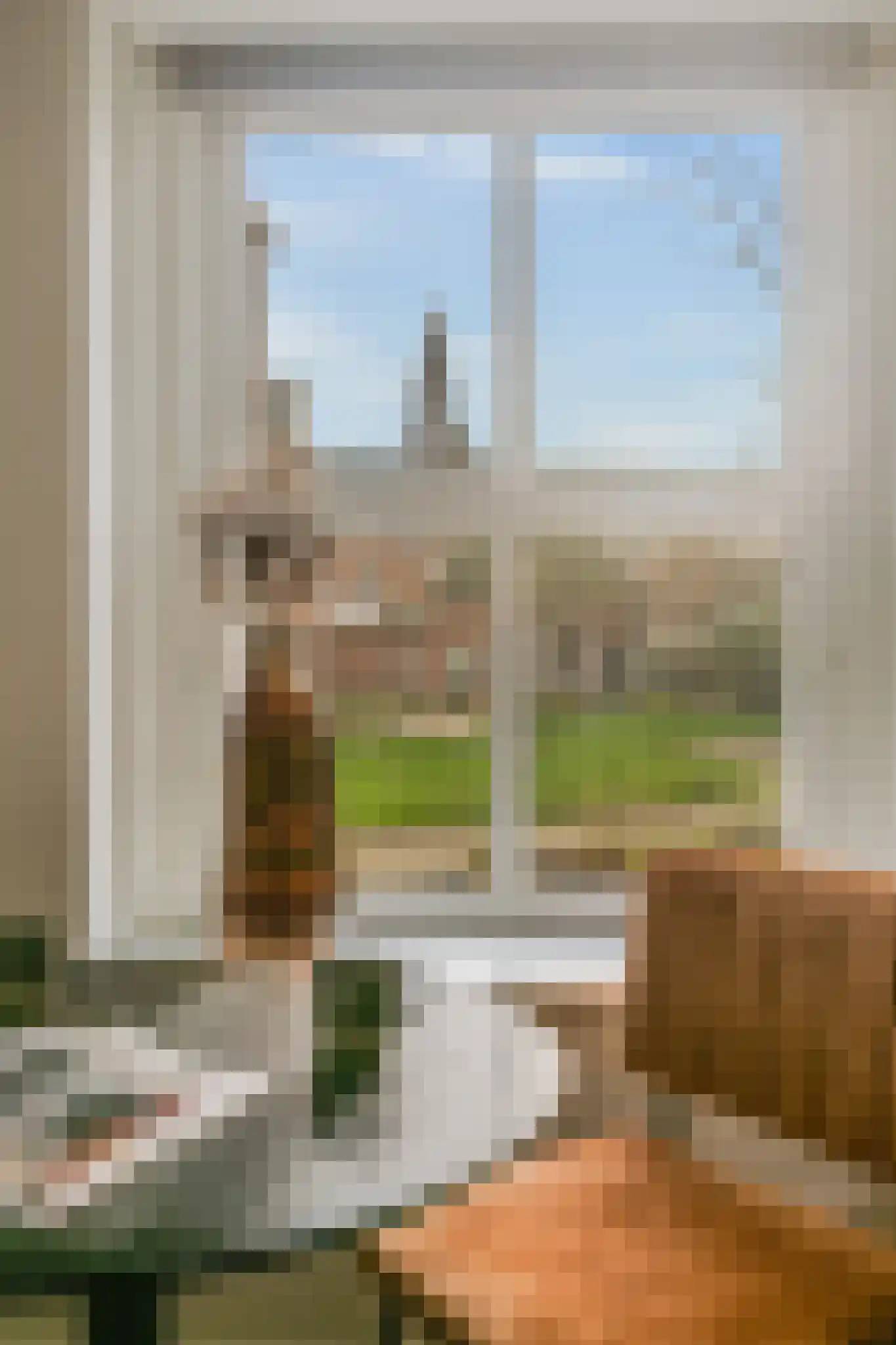 Jansstraat 46 C 2 Haarlem thumbnail 14