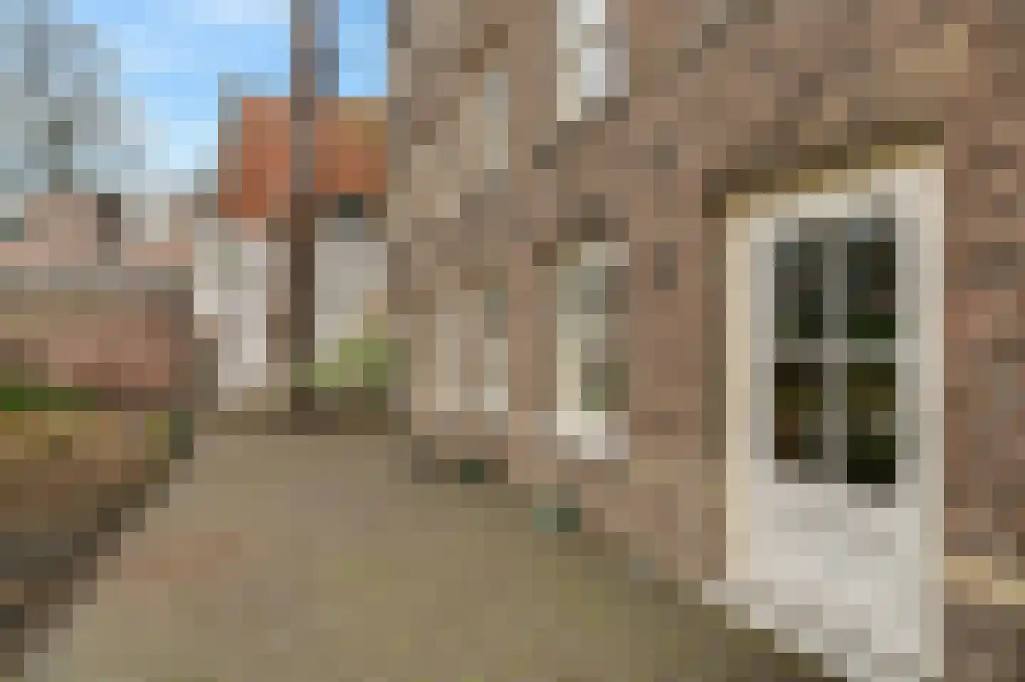 Jansstraat 46 C 2 Haarlem thumbnail 18