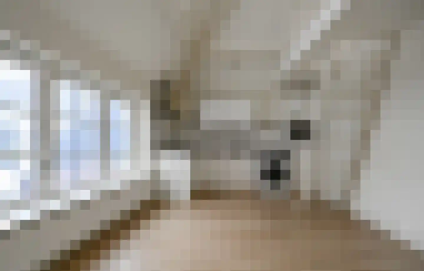 Jansstraat 71 E Haarlem thumbnail 5