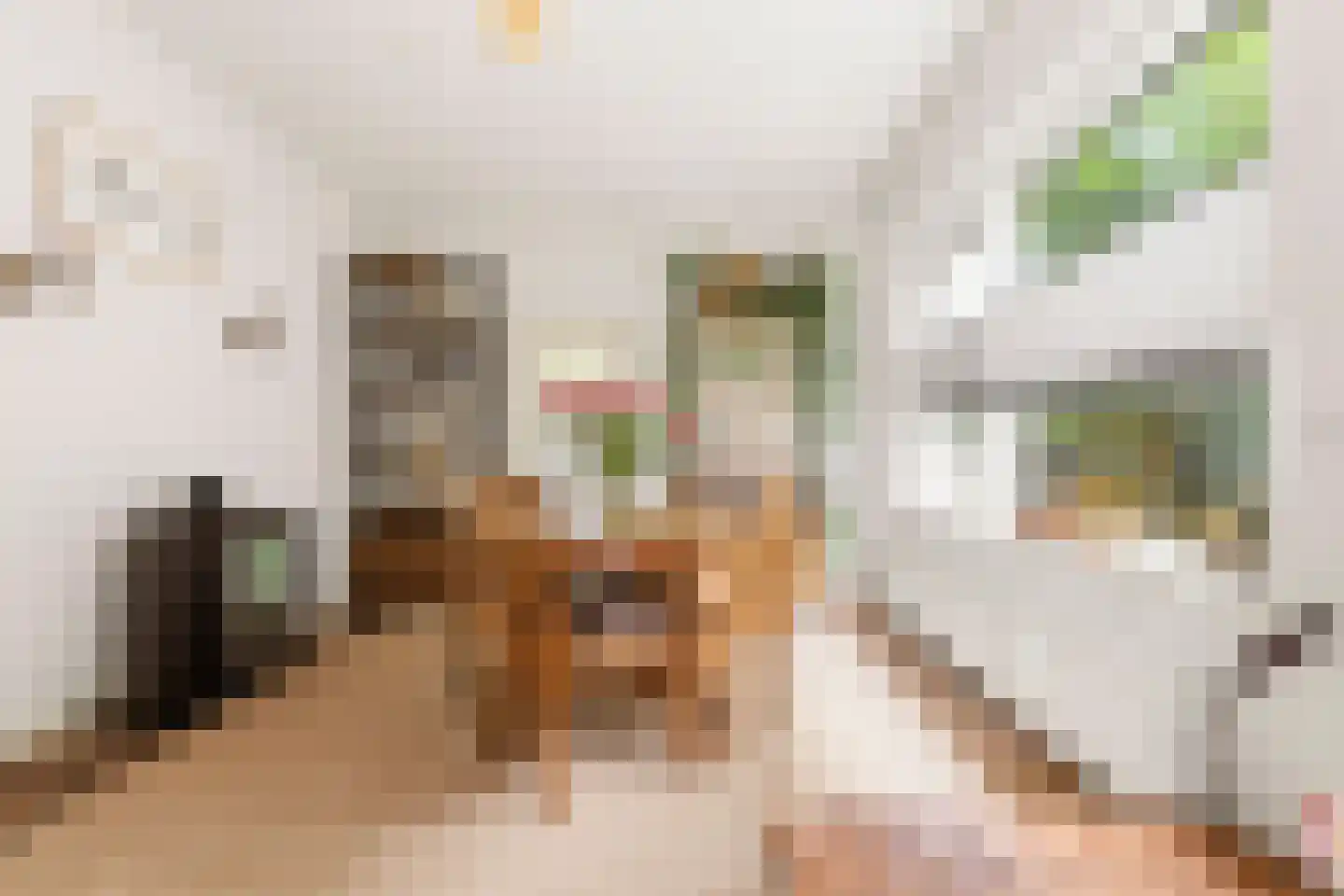 Janstraat 12 Velp thumbnail 11