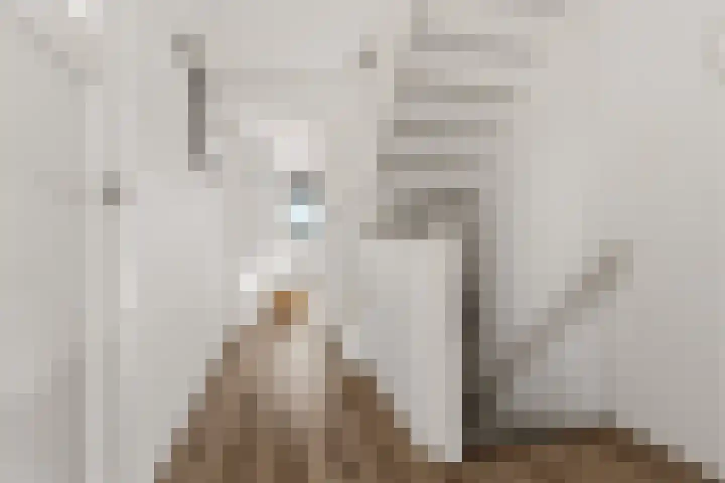 Janstraat 12 Velp thumbnail 17