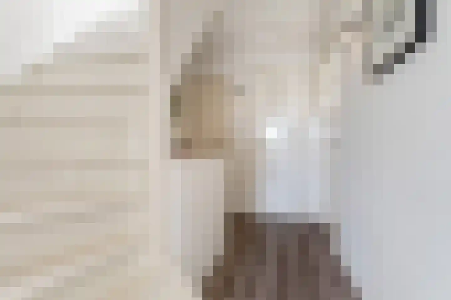 Janstraat 12 Velp thumbnail 18