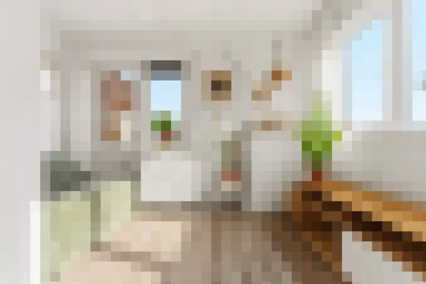 Janstraat 12 Velp thumbnail 19