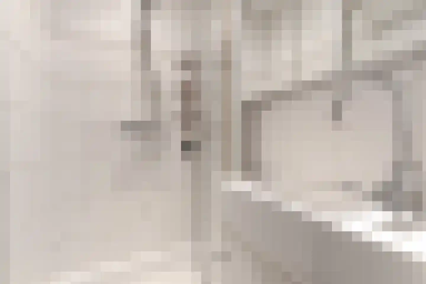 Janstraat 12 Velp thumbnail 23