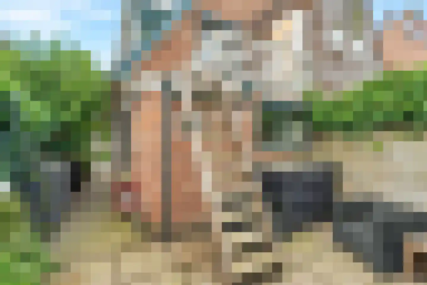 Janstraat 12 Velp thumbnail 28