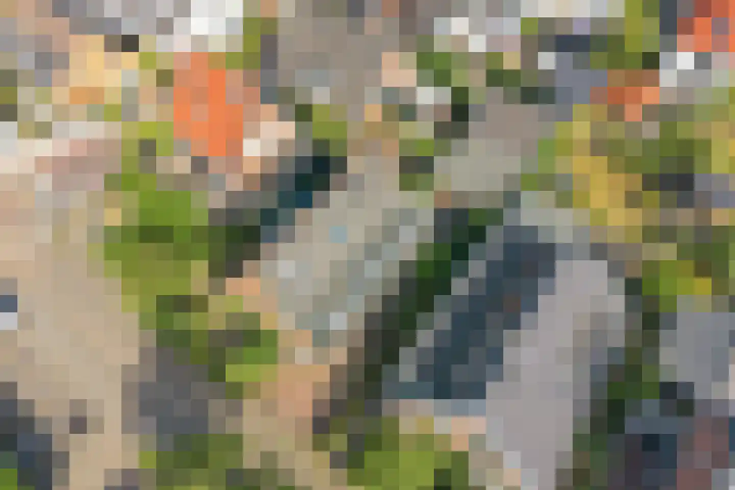 Janstraat 12 Velp thumbnail 31