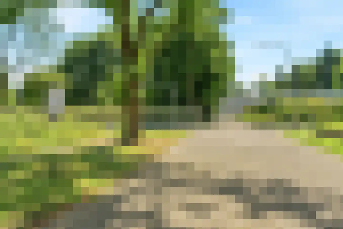Janstraat 12 Velp thumbnail 33