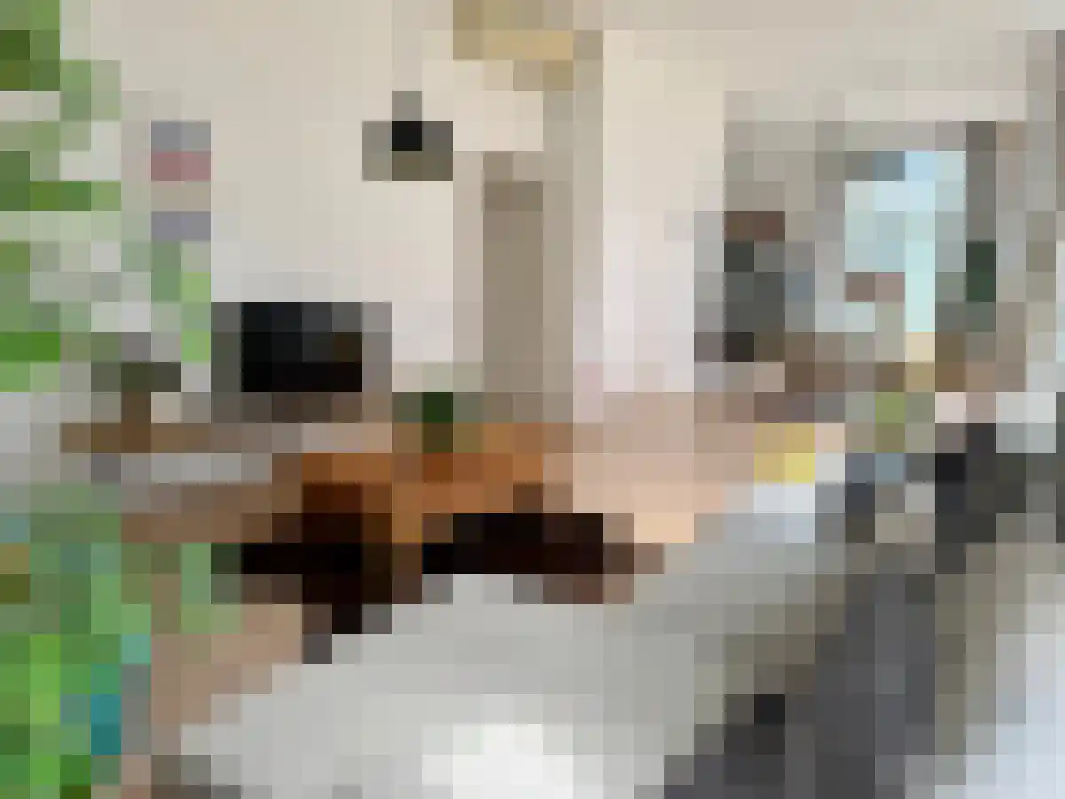 Jansveld 2 Utrecht thumbnail 4