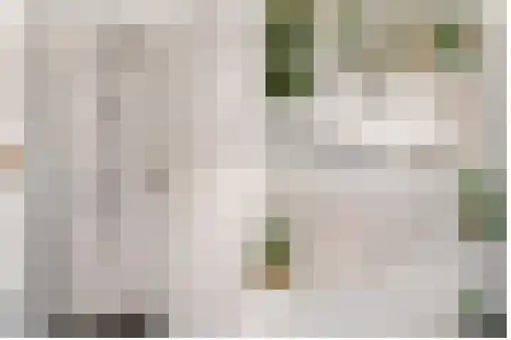 Jansveld 21 BS Utrecht thumbnail 20