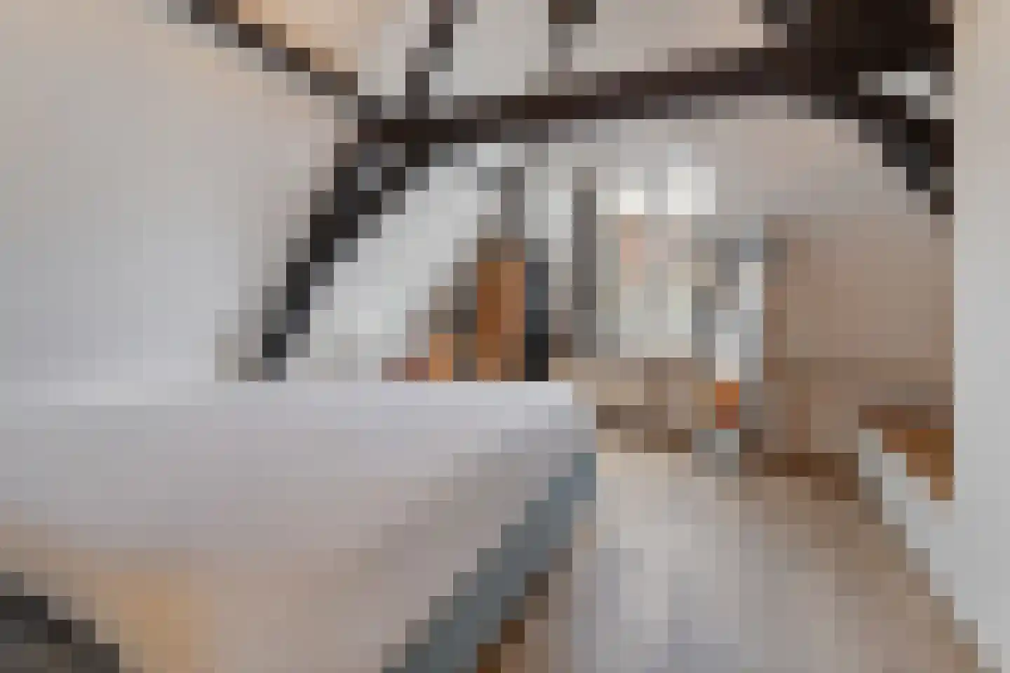 Jansveld 21 BS Utrecht thumbnail 21