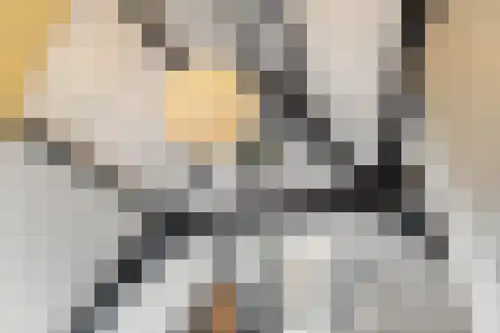 Jansveld 21 BS Utrecht thumbnail 25