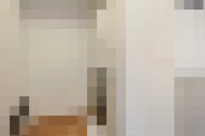 Jansveld 21 BS Utrecht thumbnail 27
