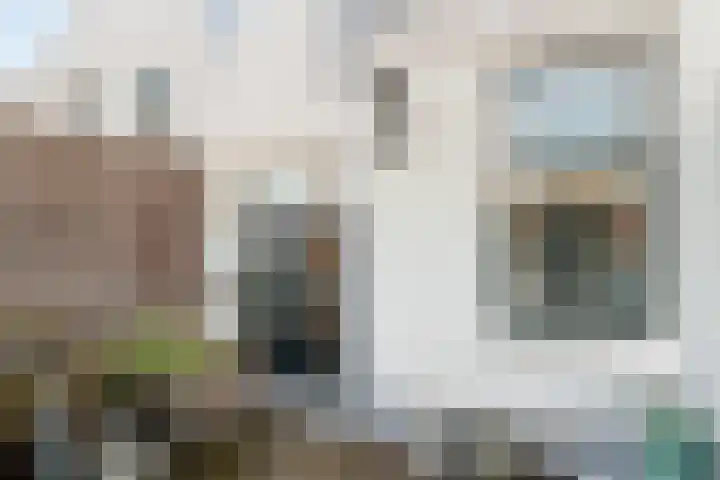 Jansveld 21 BS Utrecht thumbnail 29
