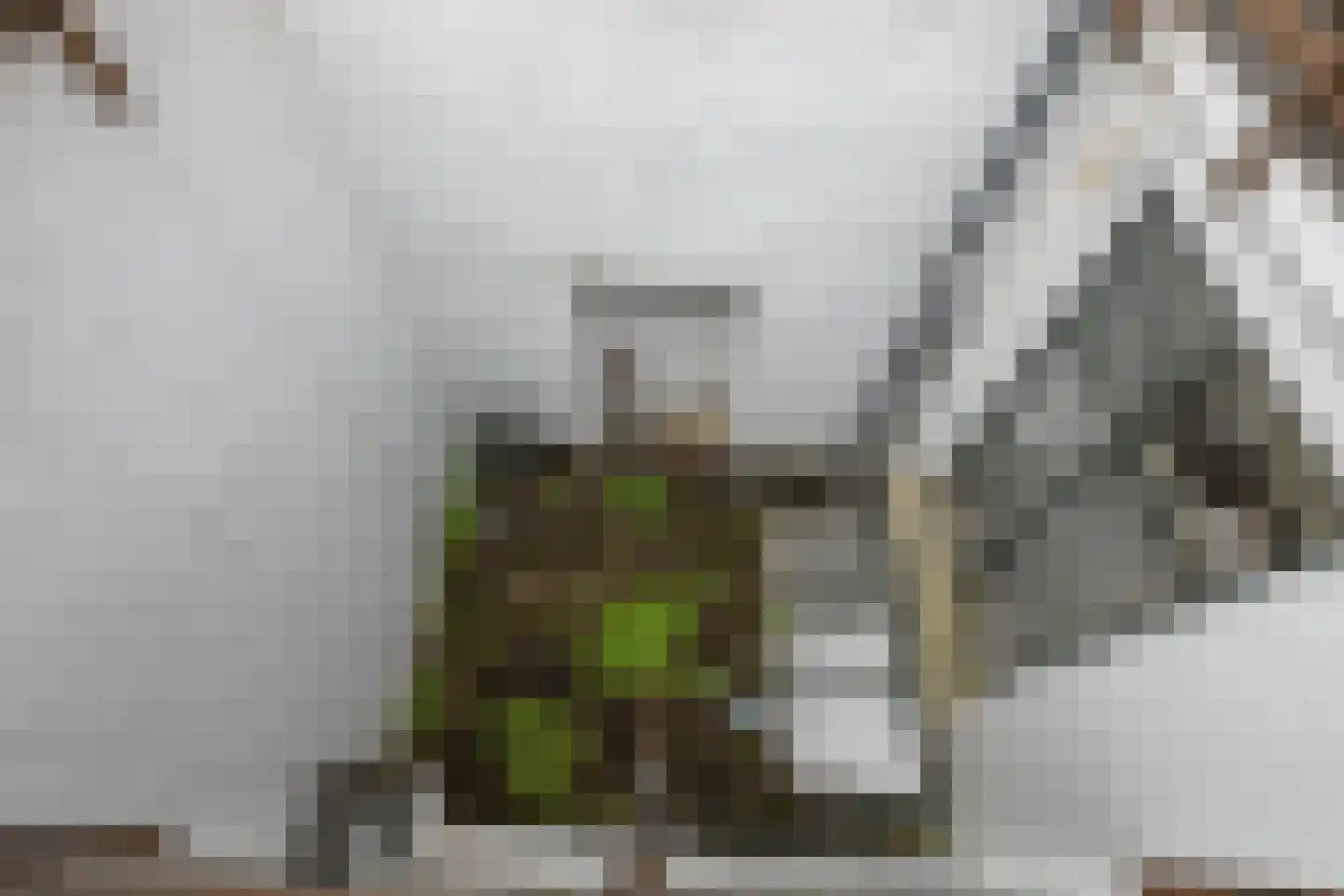 Jansveld 24 Utrecht thumbnail 32