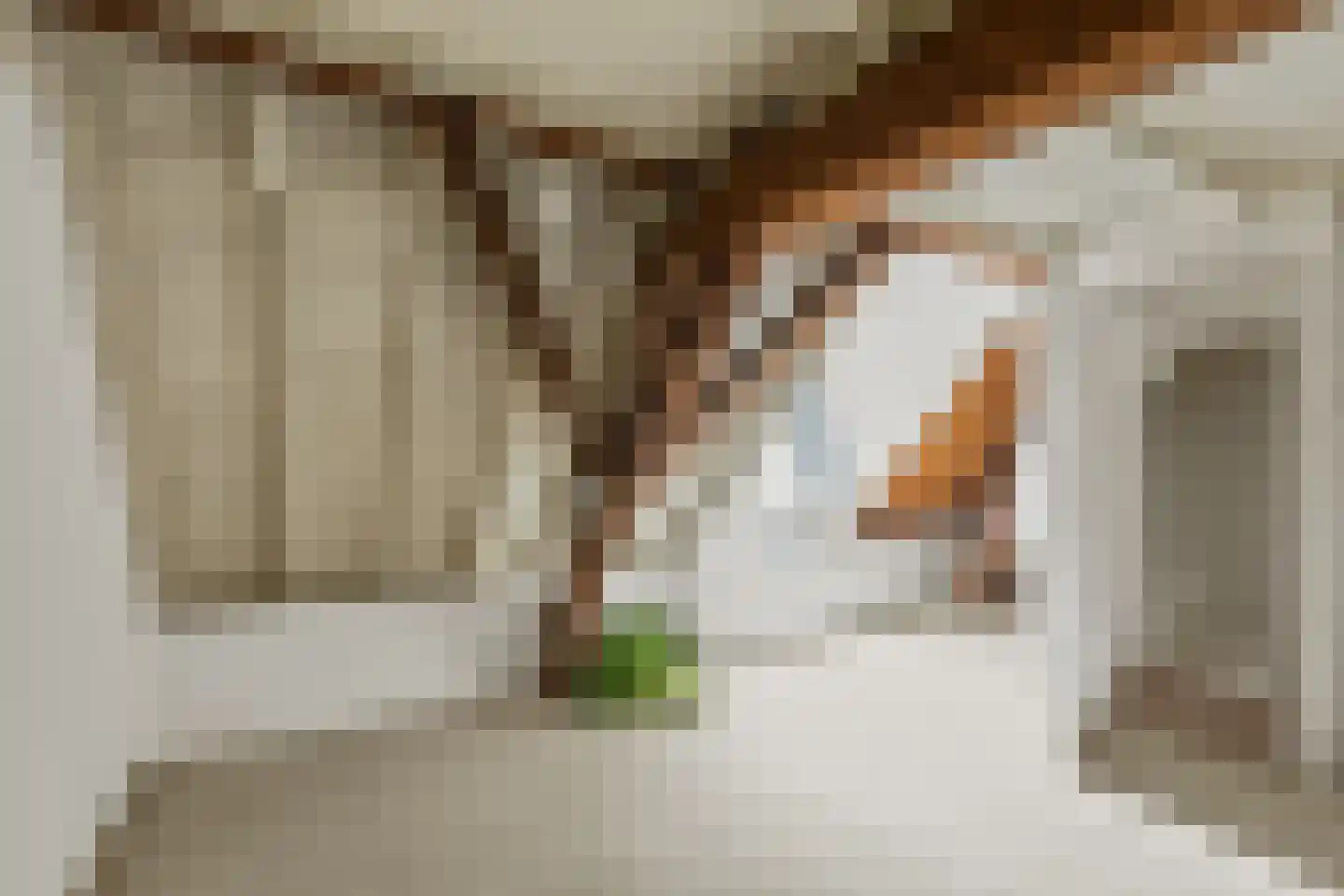 Jansveld 24 Utrecht thumbnail 39