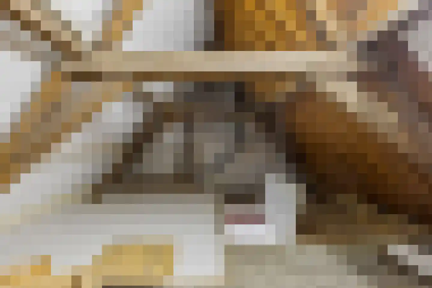 Jansveld 24 Utrecht thumbnail 44