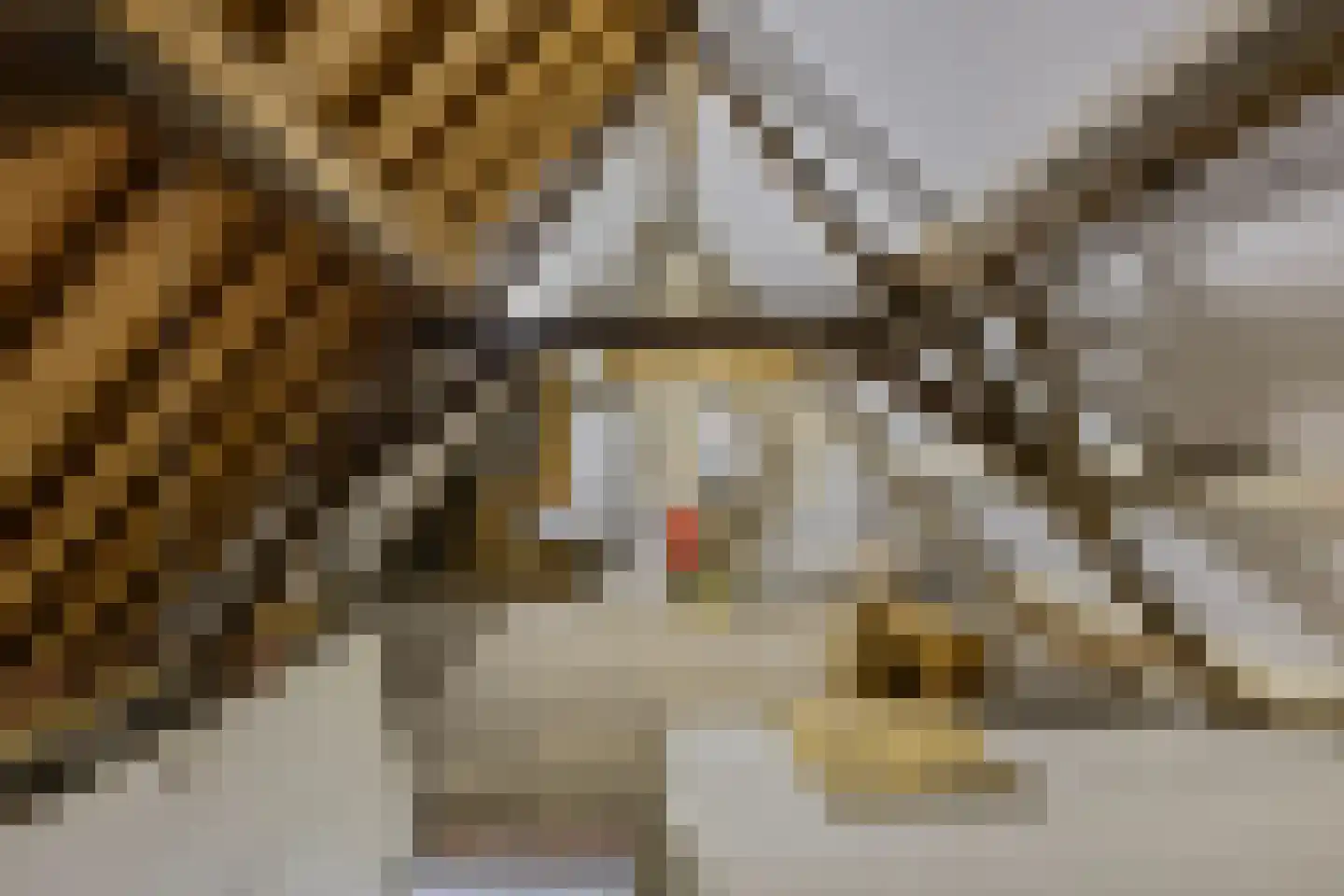 Jansveld 24 Utrecht thumbnail 45