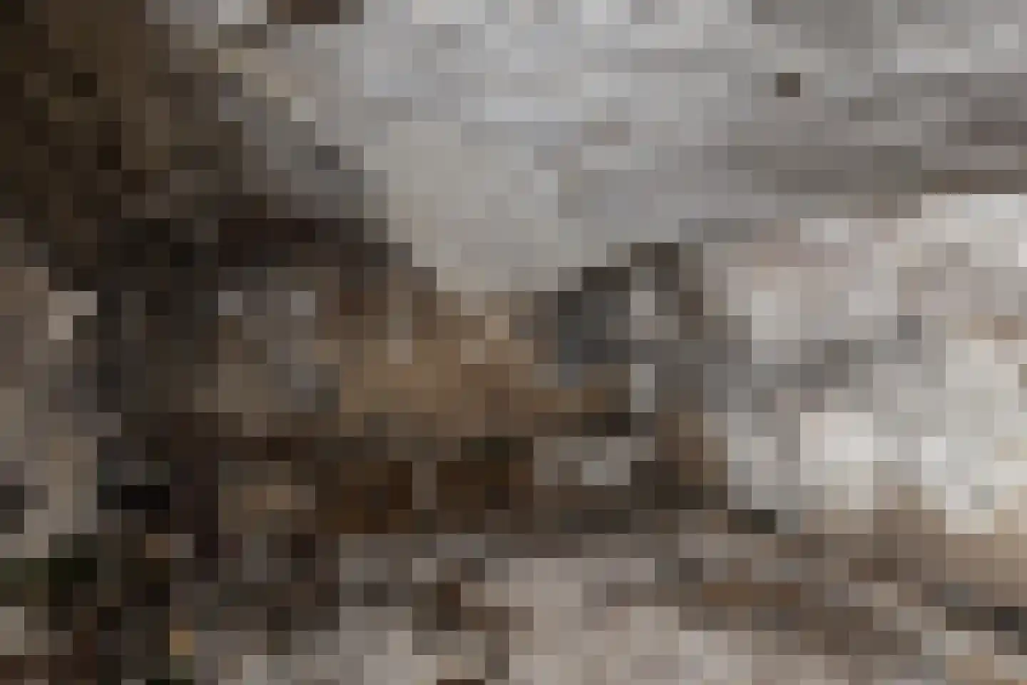 Jansveld 24 Utrecht thumbnail 48