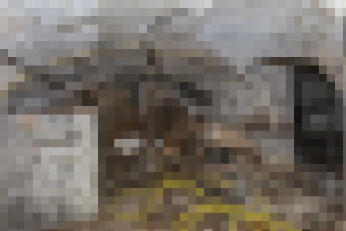 Jansveld 24 Utrecht thumbnail 49