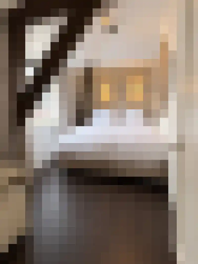 Jansveld 25 D Utrecht thumbnail 8