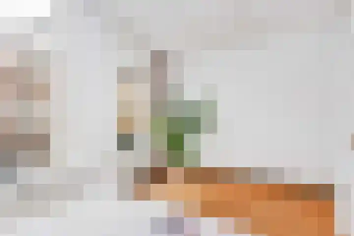Jansveld 28 Utrecht thumbnail 17