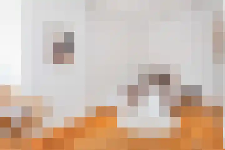 Jansveld 28 Utrecht thumbnail 19