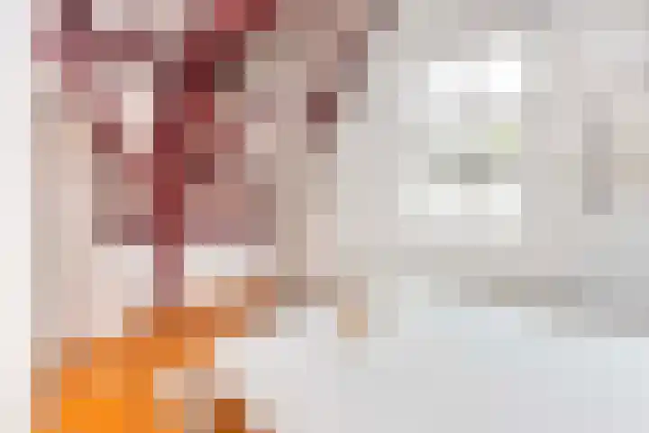 Jansveld 28 Utrecht thumbnail 29