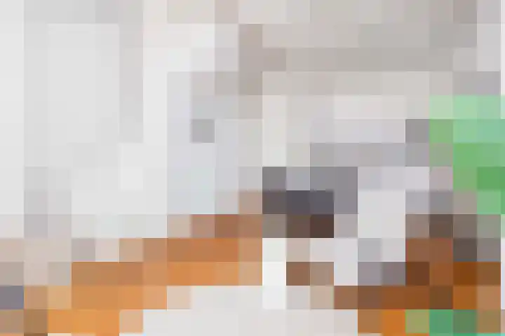 Jansveld 28 Utrecht thumbnail 5