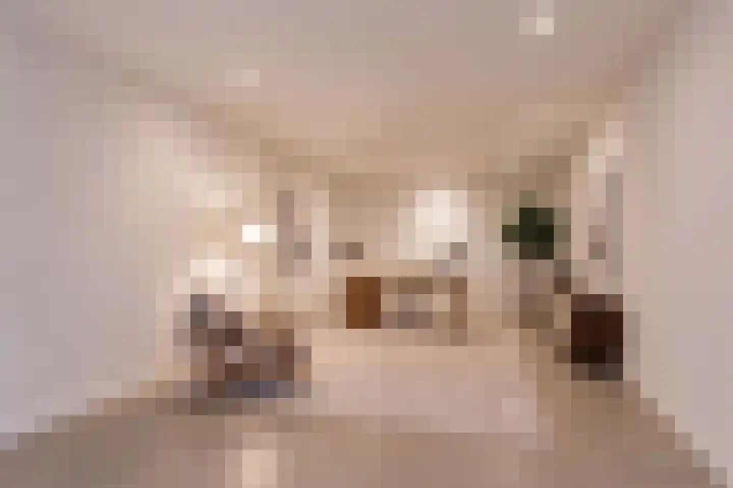 Jansveld 34 Utrecht thumbnail 10