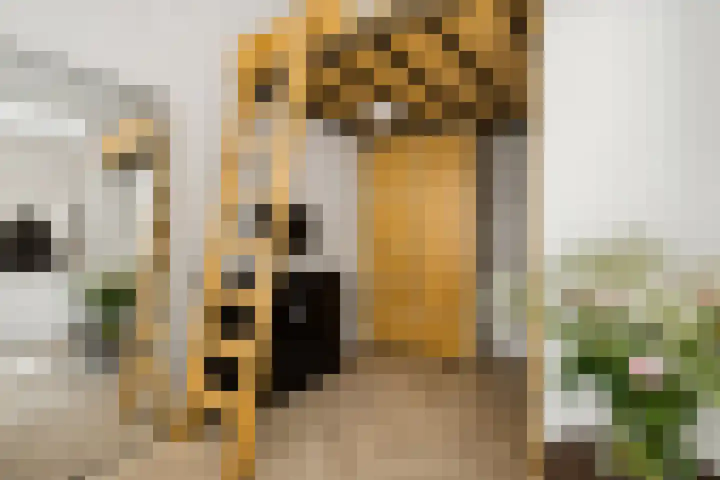 Jansveld 44 Utrecht thumbnail 11