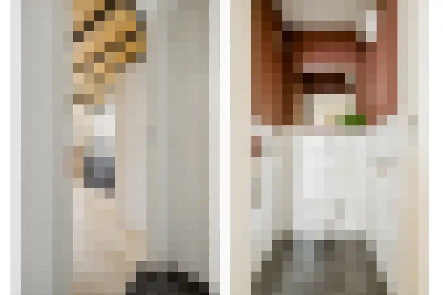 Jansveld 44 Utrecht thumbnail 19