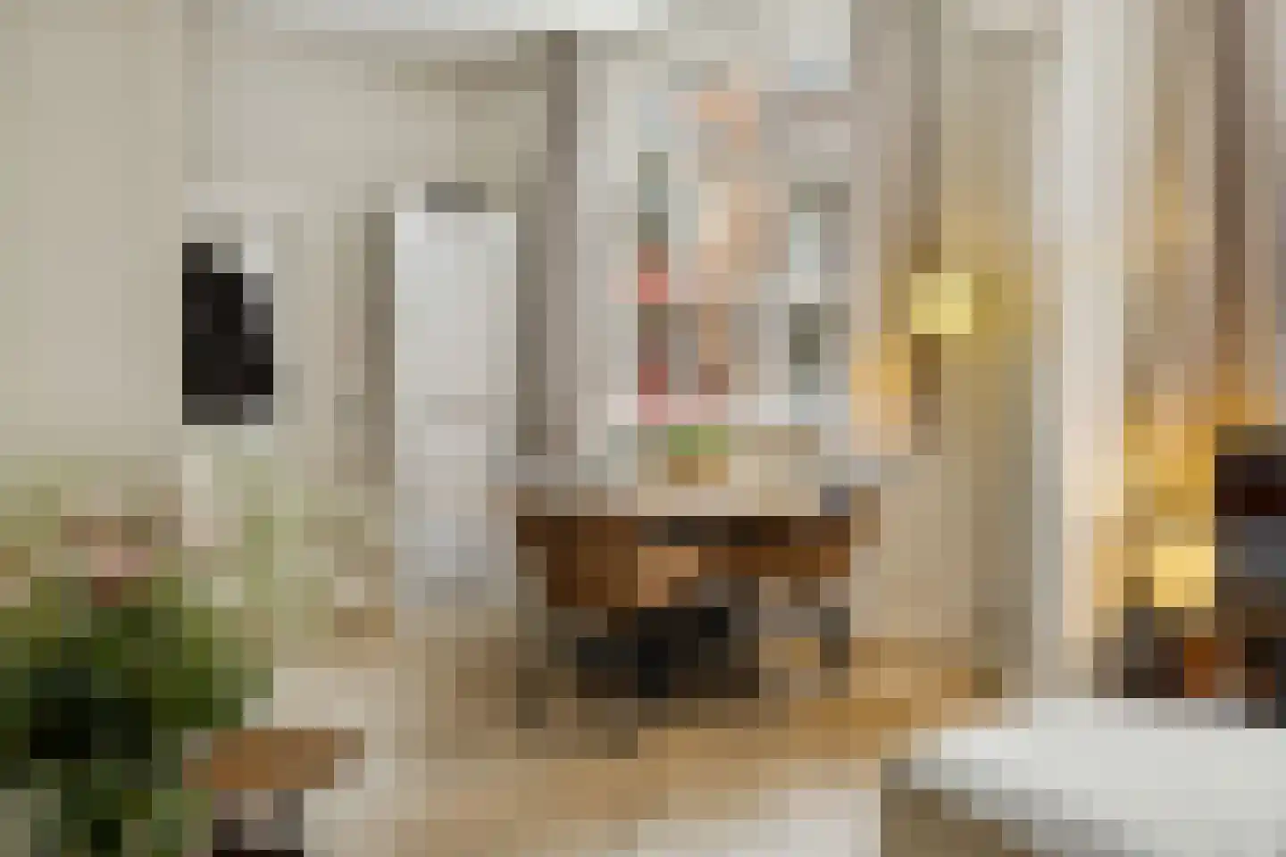 Jansveld 44 Utrecht thumbnail 20