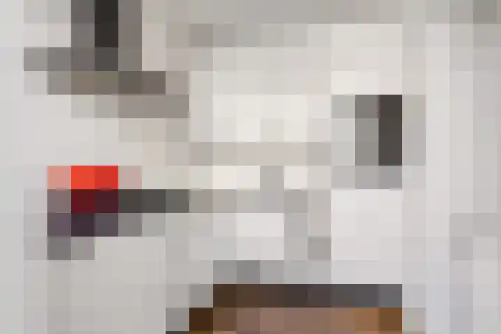 Jansveld 49 BS Utrecht thumbnail 12