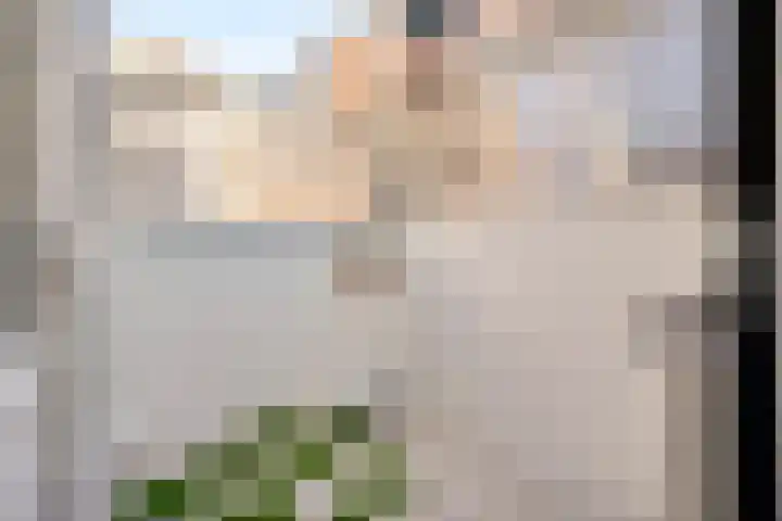 Jansveld 49 BS Utrecht thumbnail 13