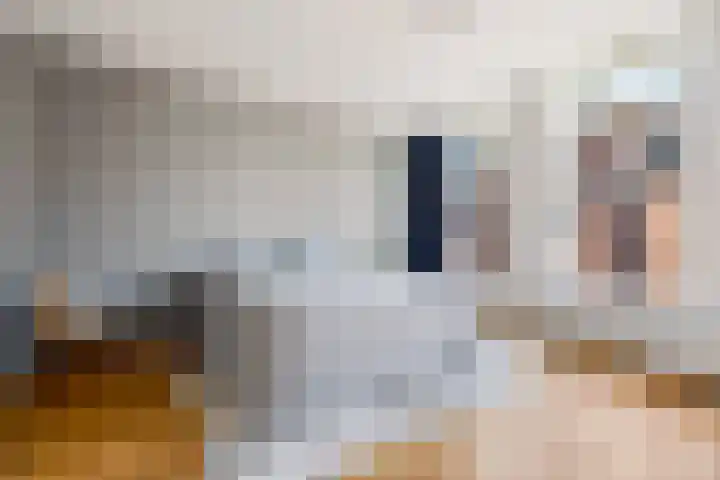 Jansveld 49 BS Utrecht thumbnail 15