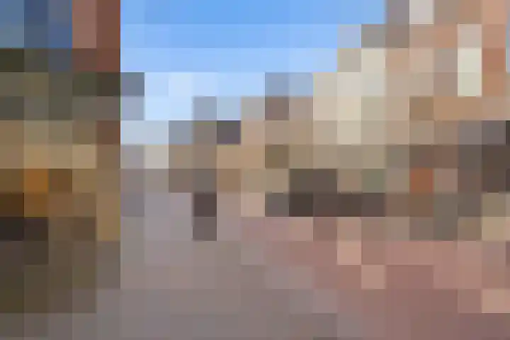 Jansveld 49 BS Utrecht thumbnail 25
